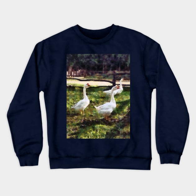 Geese - Three White Geese Crewneck Sweatshirt by SusanSavad